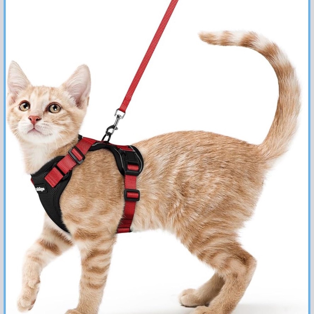 NWT: Cat Harness